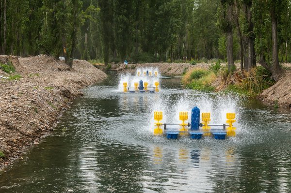 Tout savoir sur aquaculture, élevage poisson et élevage crevette